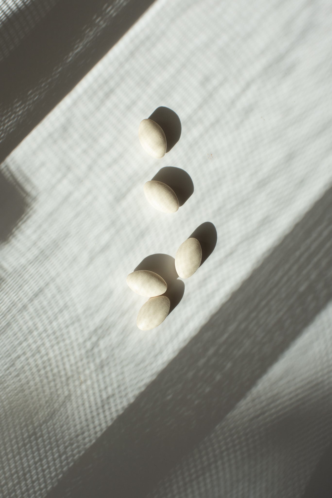 COLLAGENE COLLACTIVE Ⓡ