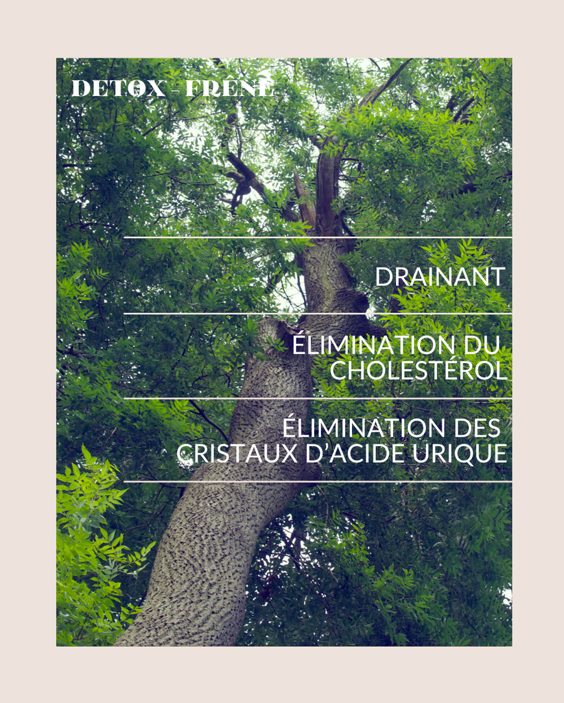 PEAU - DETOX DRAINANT image 8