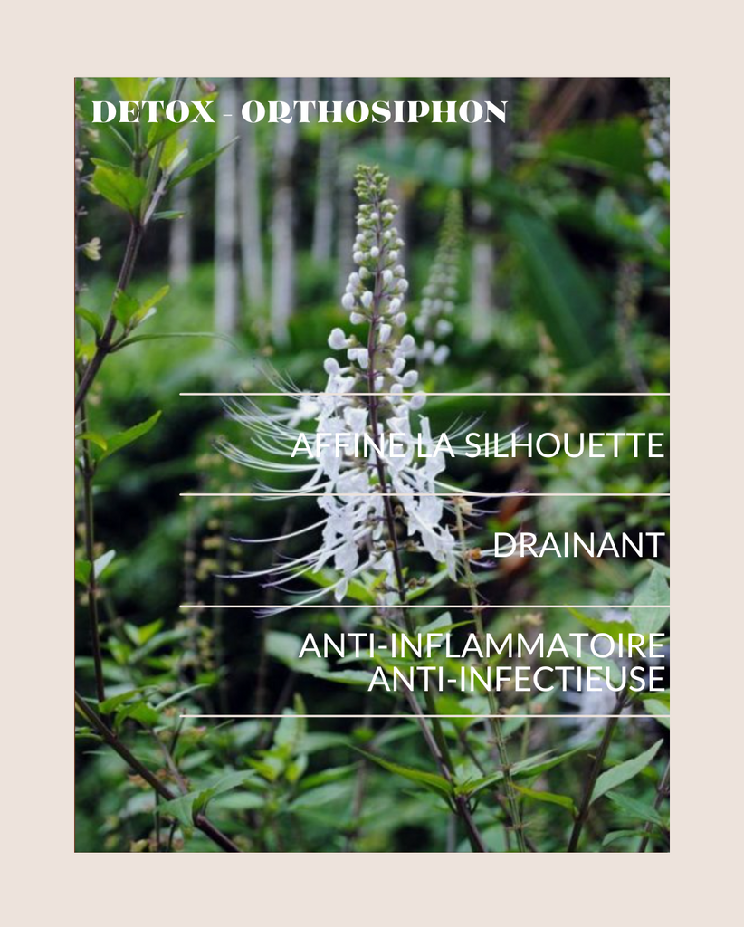 PEAU - DETOX DRAINANT image 4