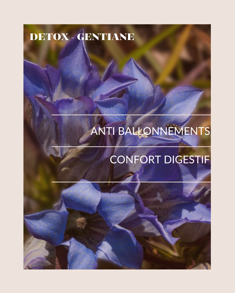 PEAU - DETOX DRAINANT image 6